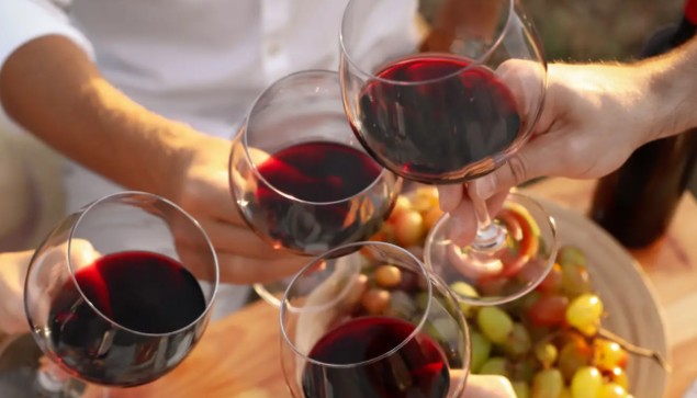 Nashik Winery Visit Tour